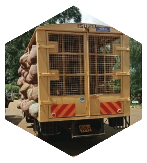Tea carrier
